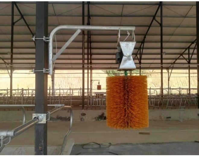 Cow Brush